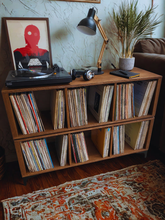 Zauflor Two-Tier Vinyl Record Storage Cabinet